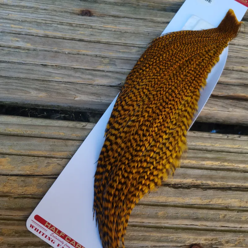 Whiting 1/2 Pro-Grade Dry Fly Rooster Cape in Grizzly Dyed March Brown-1